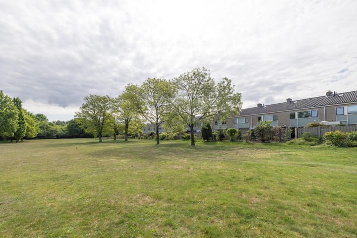 Photo 29 of Aardjesberg 9