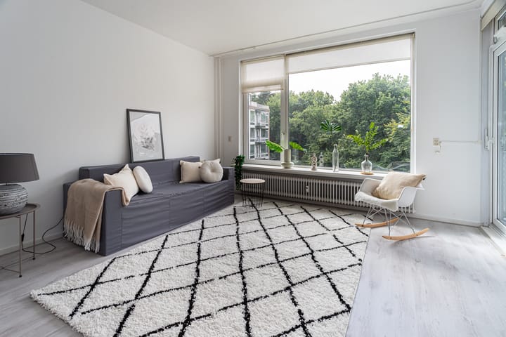 Foto 2 van De Hooghlaan 2-A21