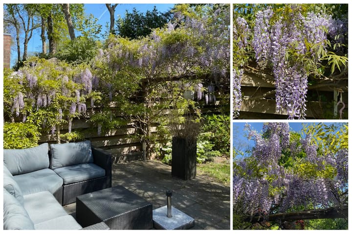 Foto 54 van Middellaan 18