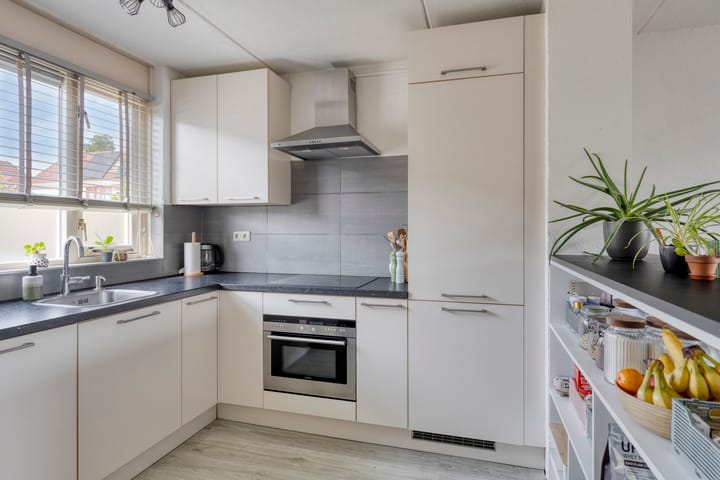 Foto 8 van Paul Rodenkolaan 9