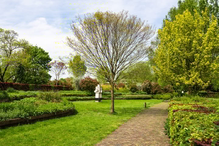 Foto 29 van Saharadreef 8