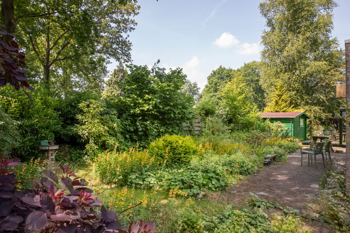 Photo 17 of De Tip 79