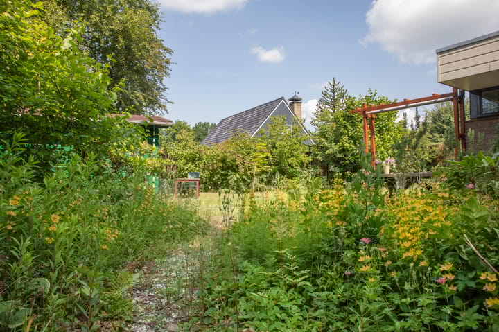 Photo 18 of De Tip 79