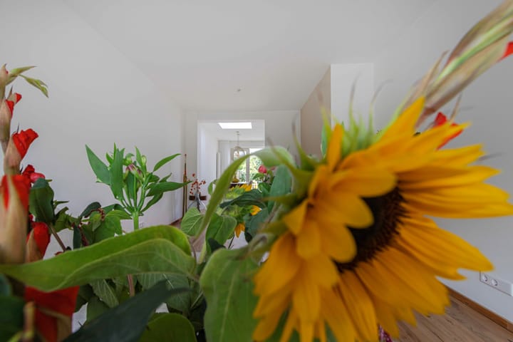 Foto 8 van Keerberg 38