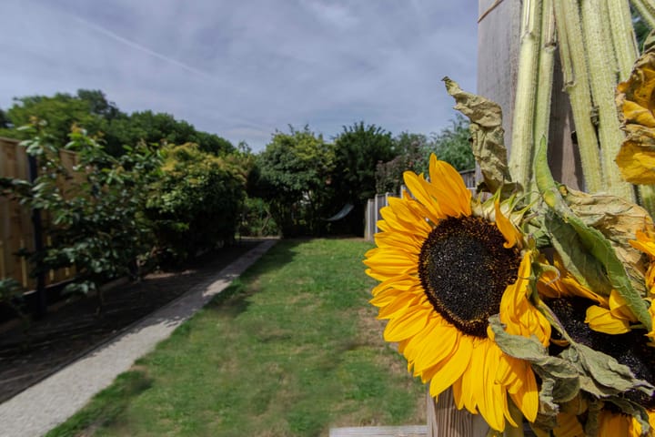 Foto 46 van Keerberg 38