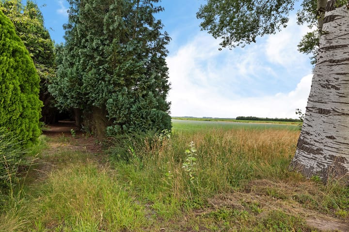 Foto 3 van Noorderdiep 39