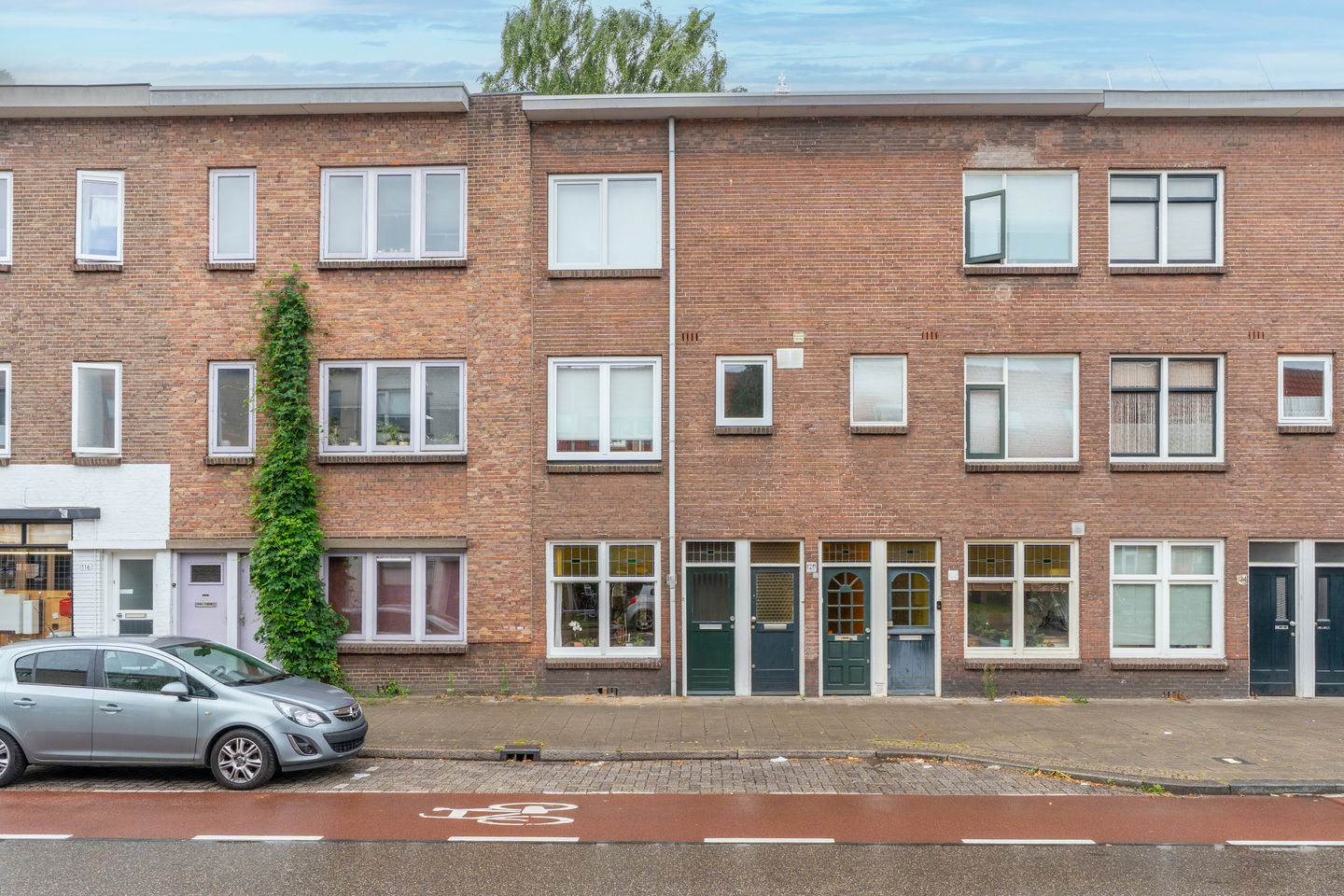 Foto 5 van Laan van Nieuw-Guinea 120