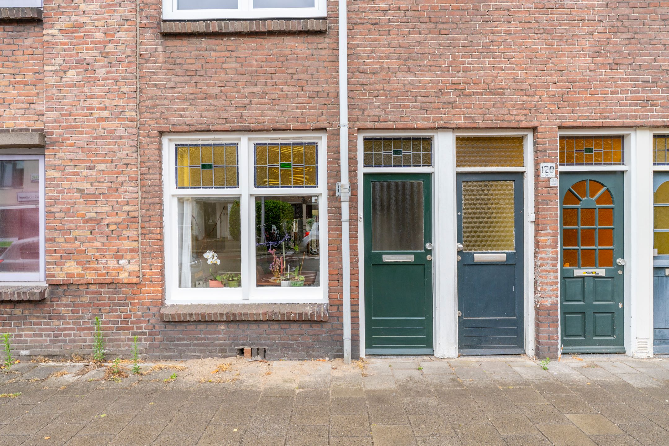 Foto 6 van Laan van Nieuw-Guinea 120