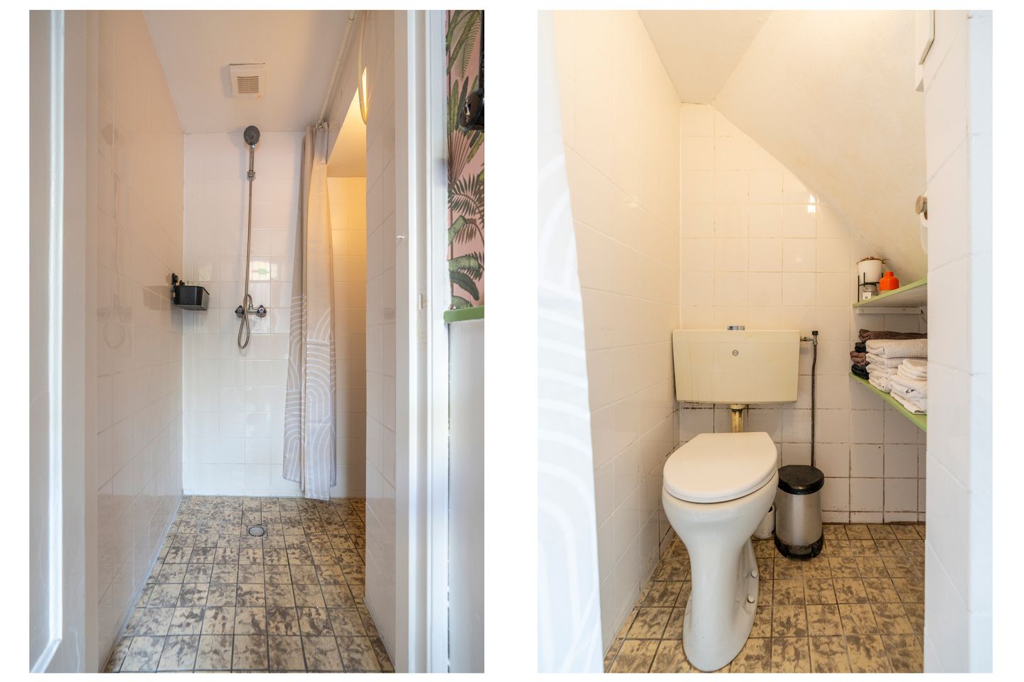 Foto 10 van Laan van Nieuw-Guinea 120