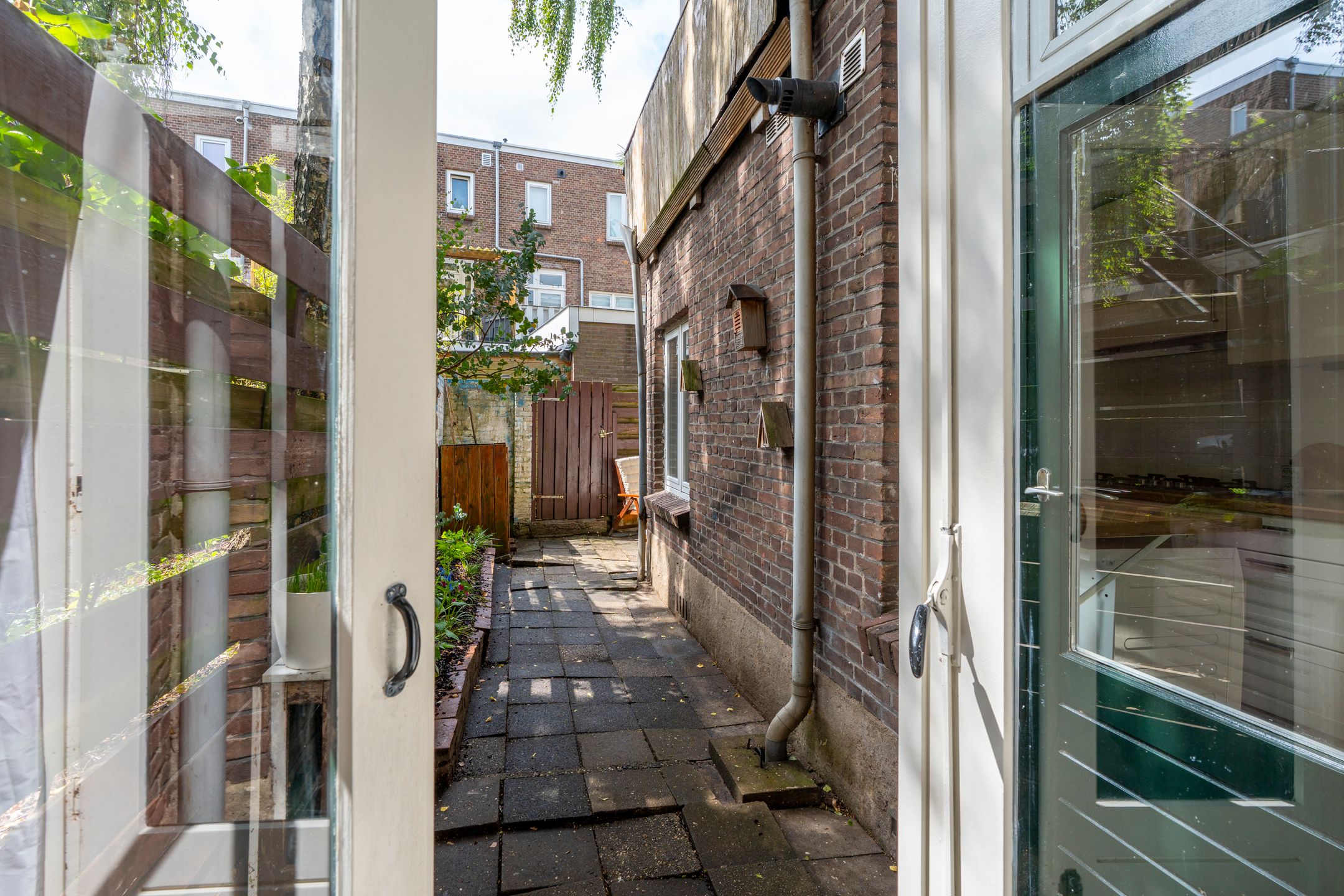 Foto 21 van Laan van Nieuw-Guinea 120