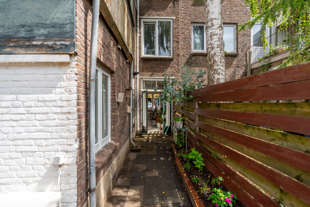 Foto 23 van Laan van Nieuw-Guinea 120