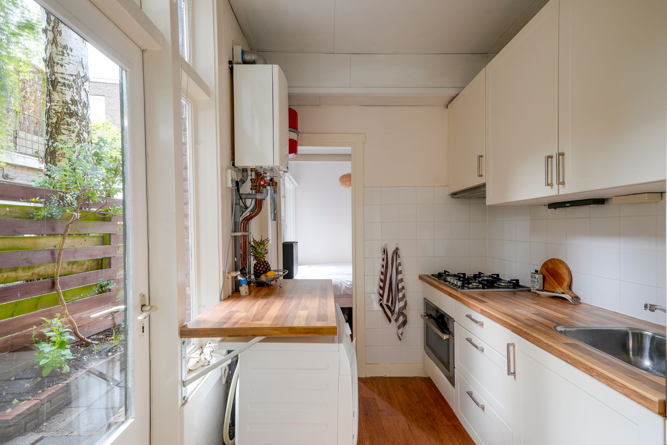 Foto 27 van Laan van Nieuw-Guinea 120