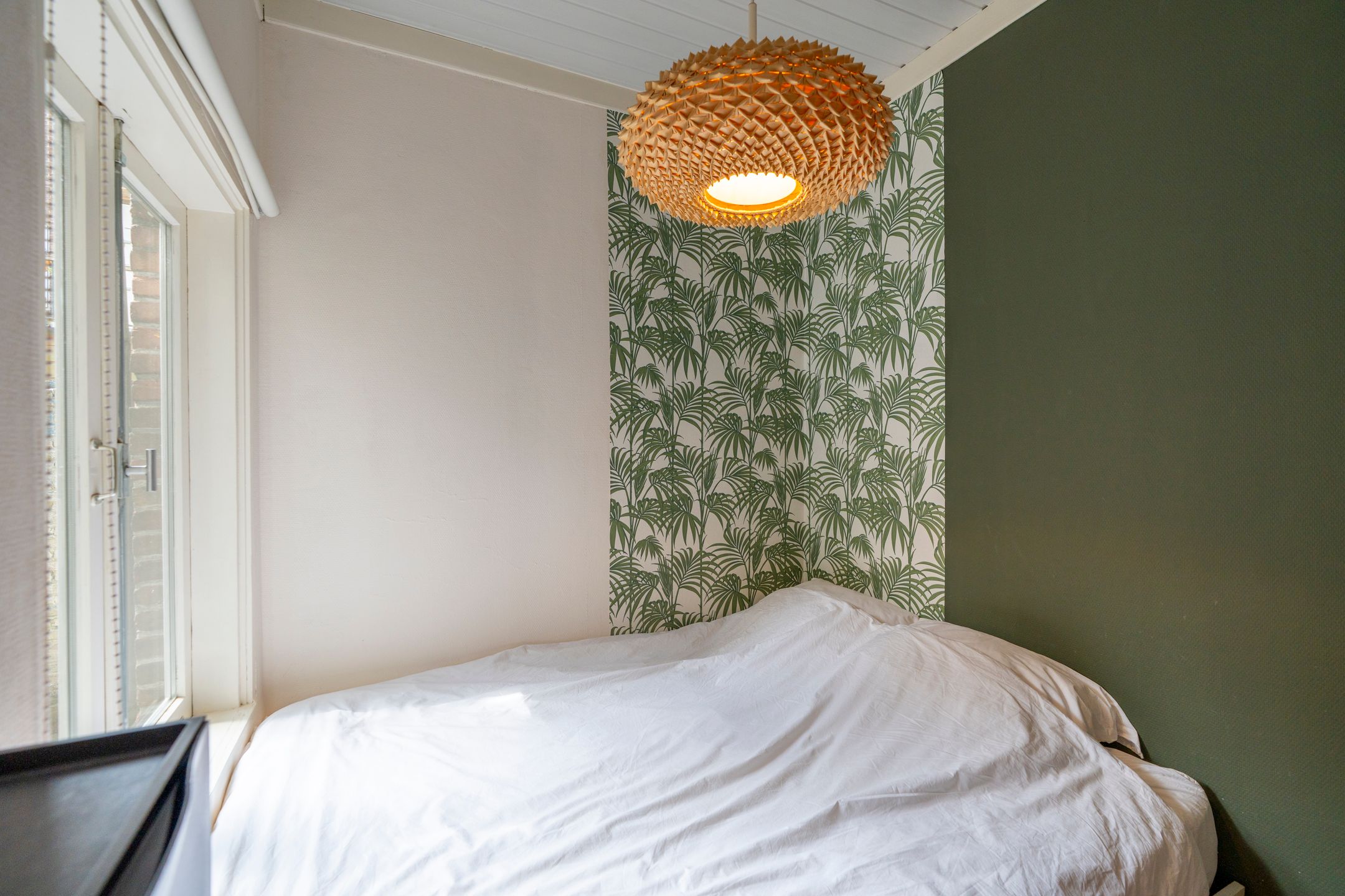 Foto 30 van Laan van Nieuw-Guinea 120