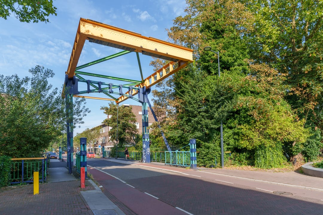 Foto 37 van Laan van Nieuw-Guinea 120