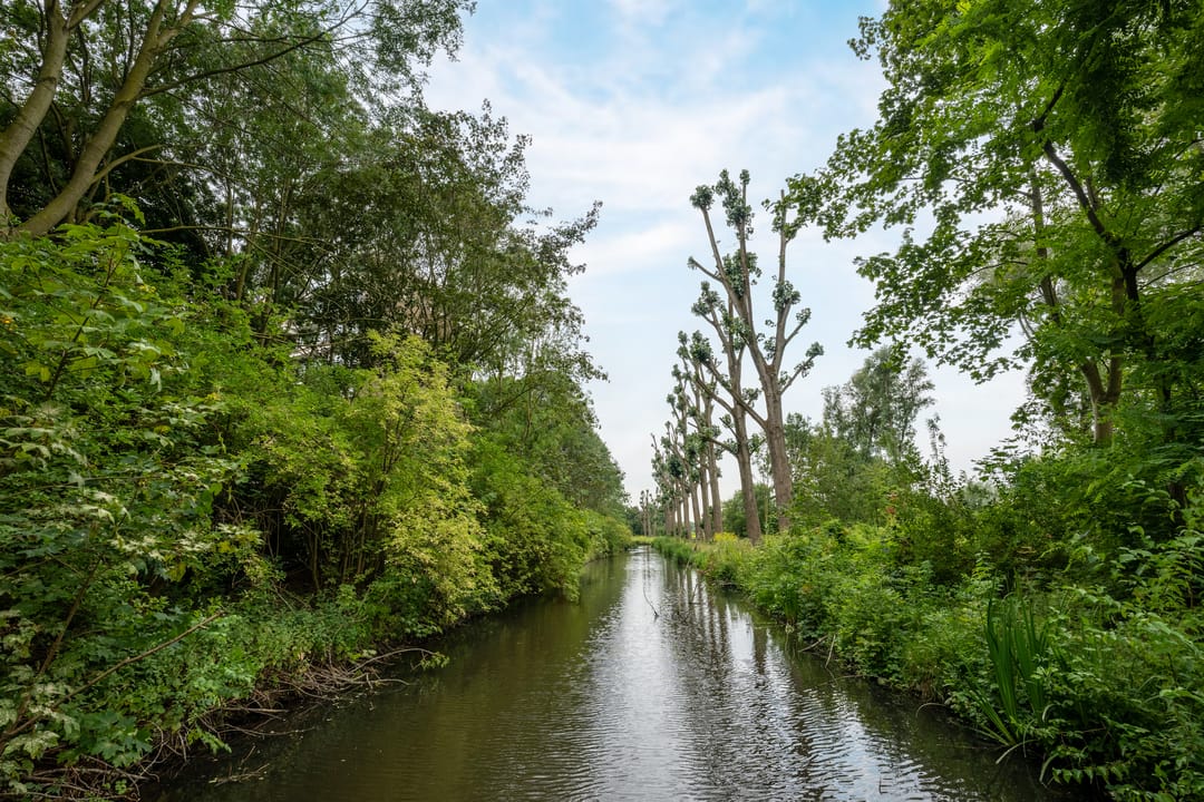 Foto 23 van Tobias Asserlaan 360