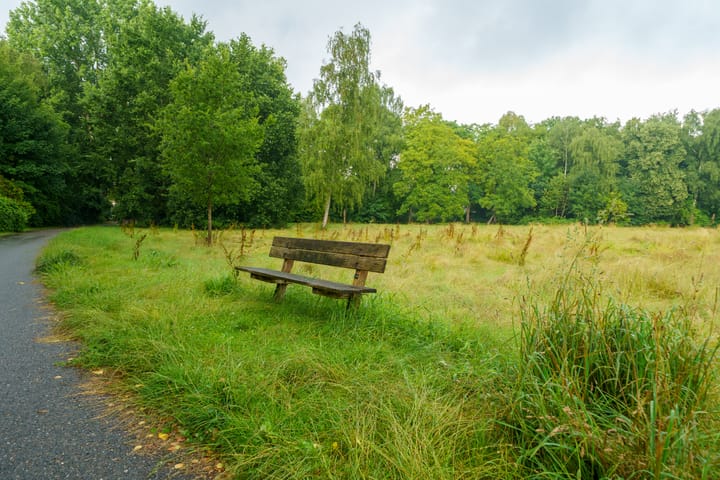 Foto 32 van Sportmark 4