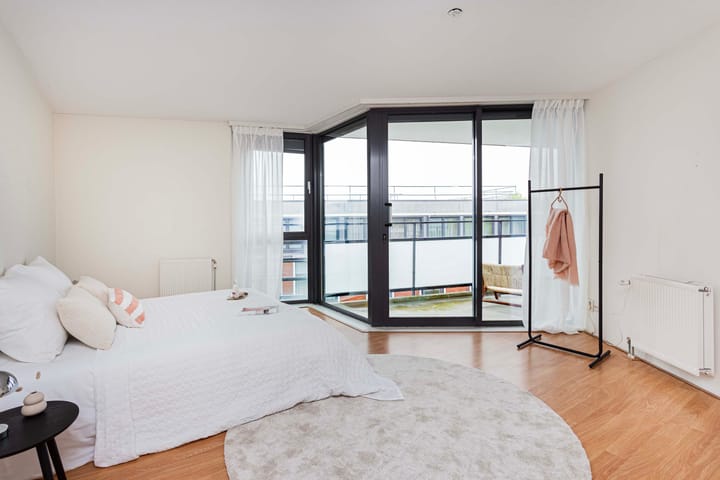 Foto 8 van Molenpolder 52