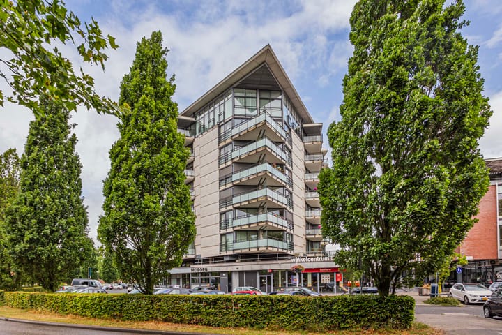 Foto 30 van Molenpolder 52