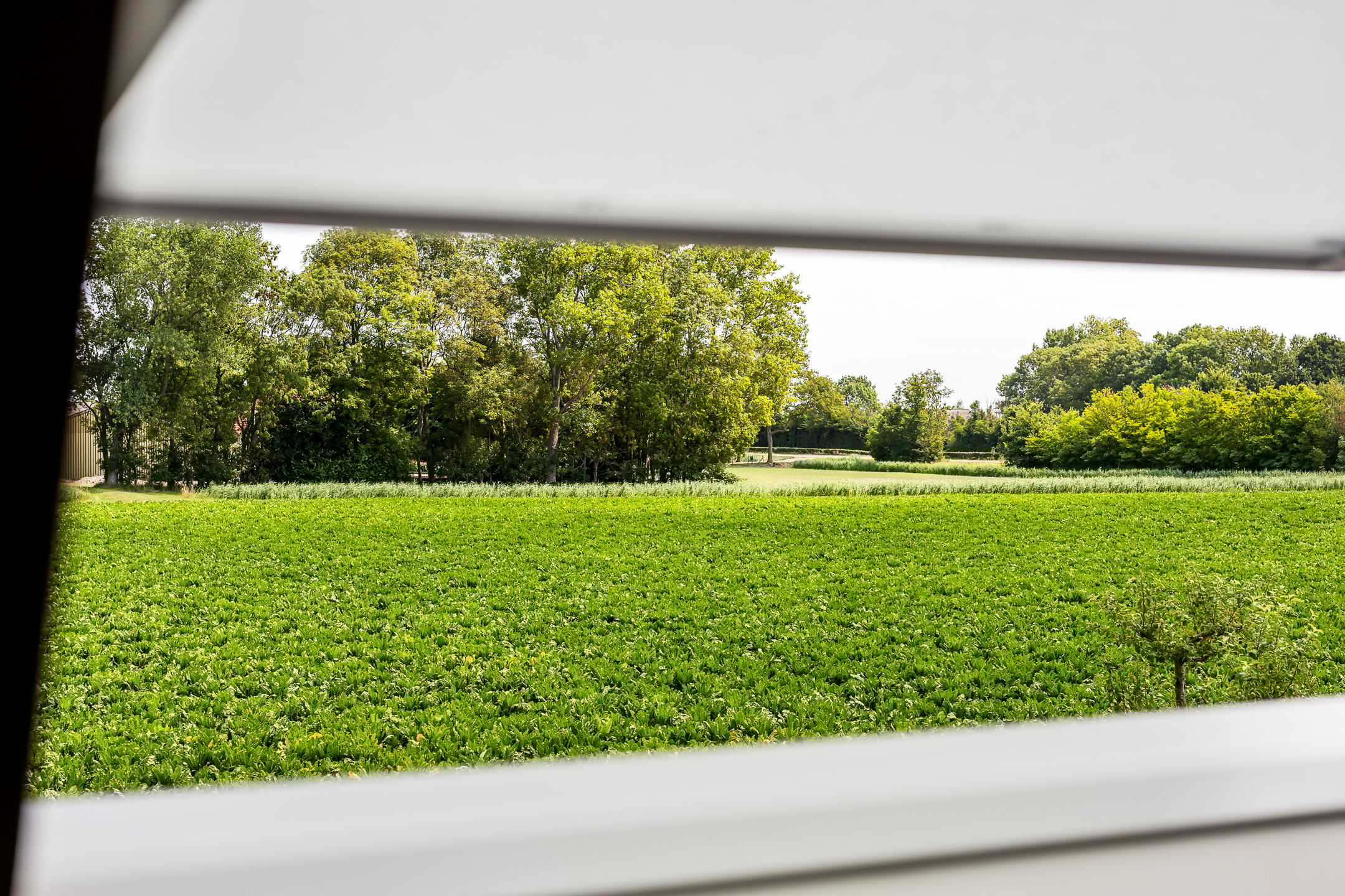 Foto 48 van Burgemeester Geuzestraat 43