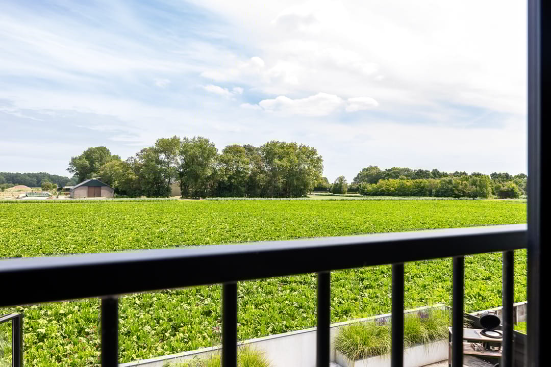 Foto 52 van Burgemeester Geuzestraat 43