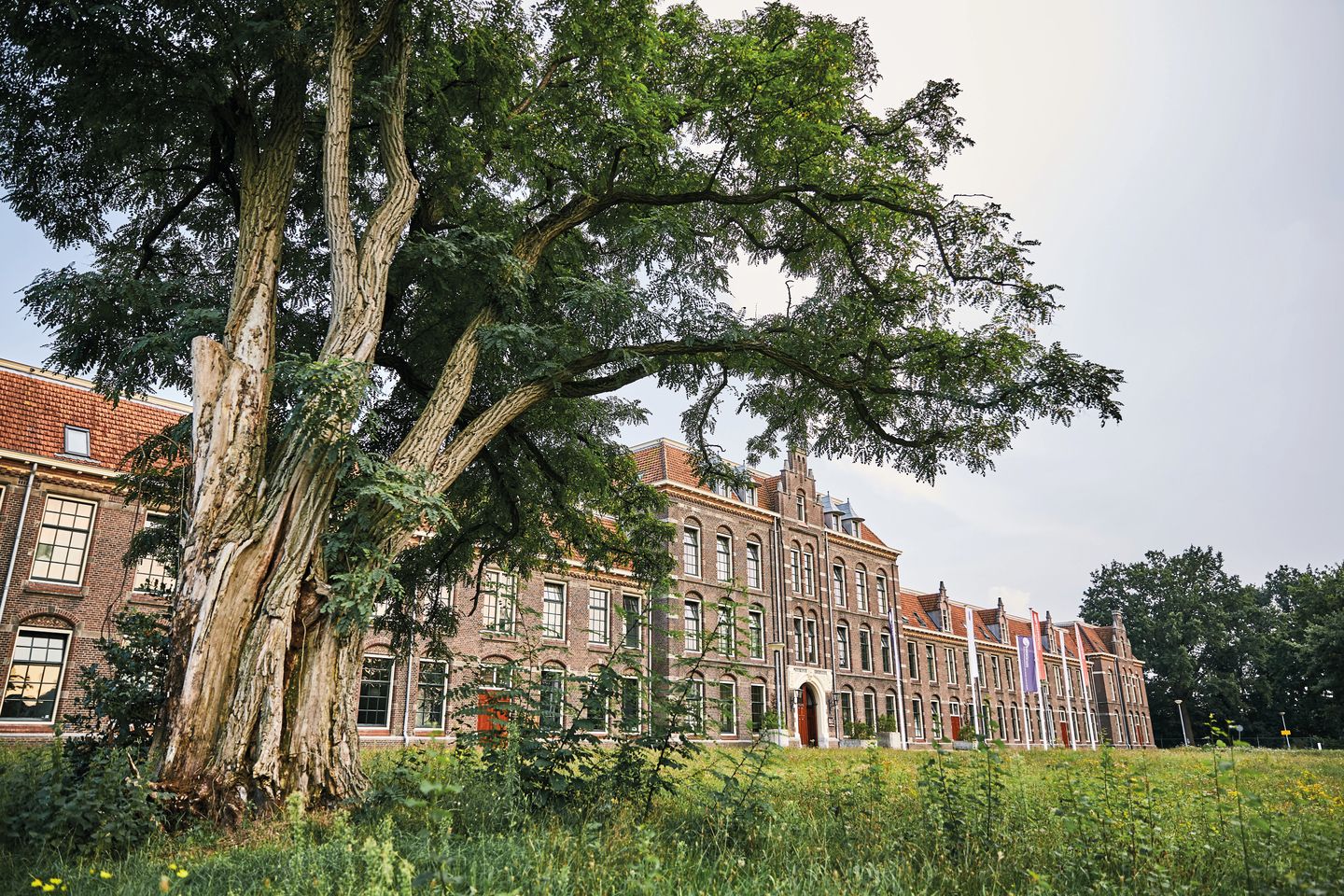 Bekijk foto 2 van Arsenaalplaats 8