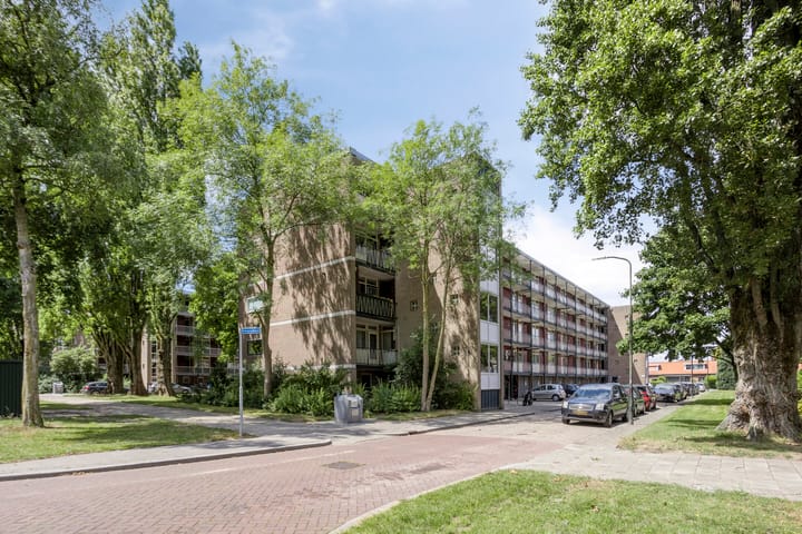 Foto 18 van Piersonstraat 56