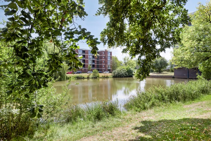 Foto 19 van Piersonstraat 56