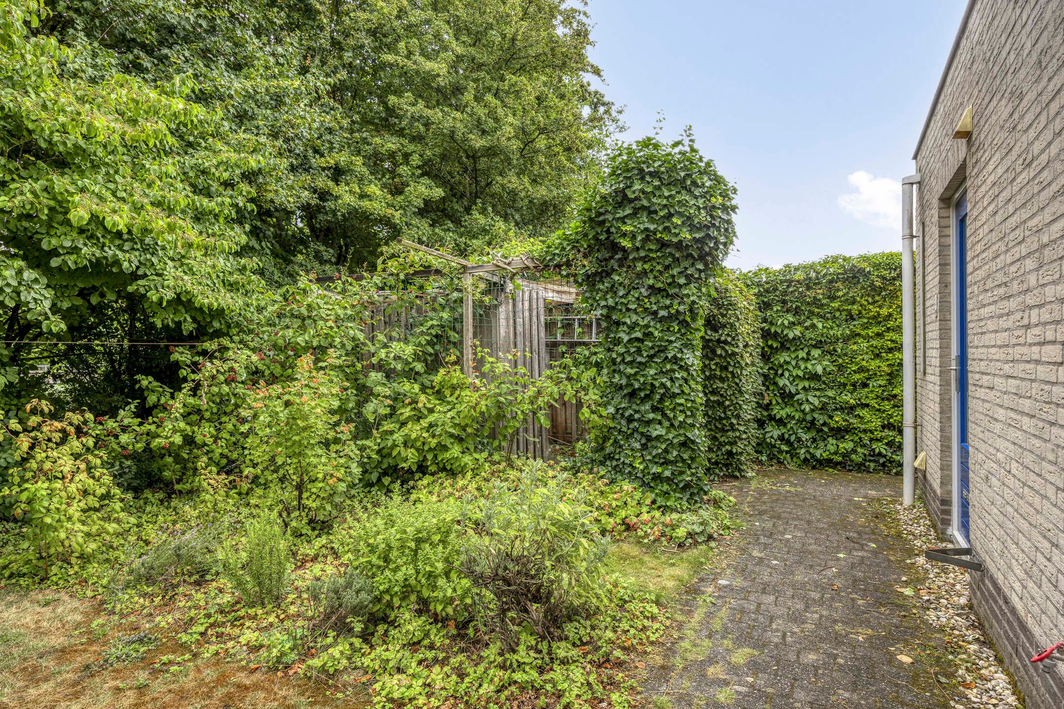 Photo 45 of Doornenburgallee 4