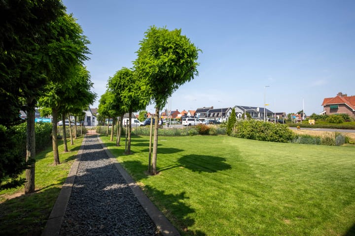 Foto 46 van Aalsmeerderweg 204