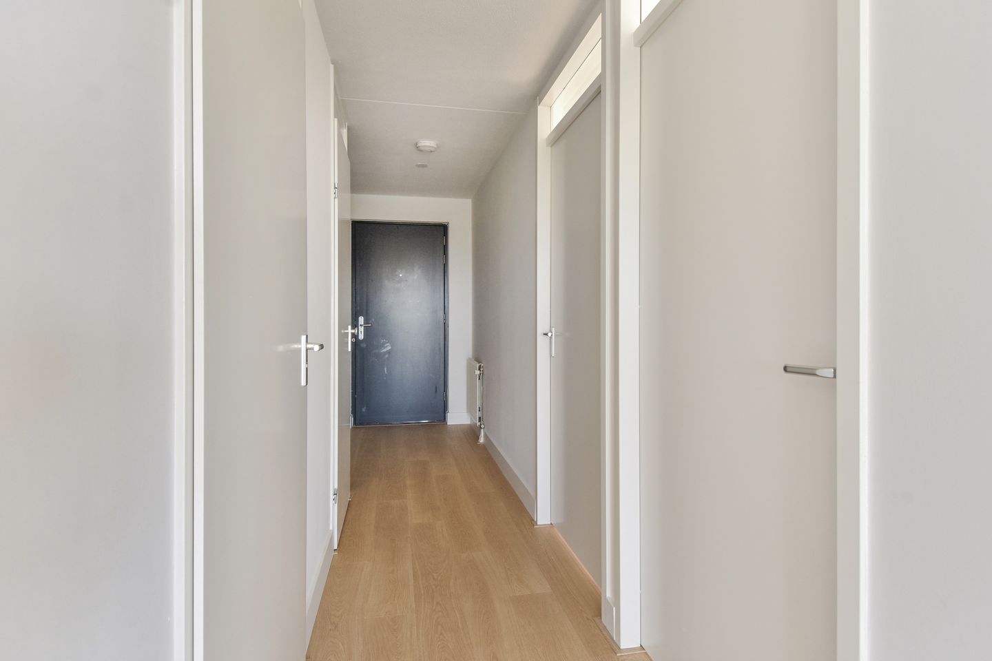 Foto 10 van Wollebrand 19