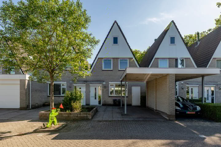 Foto 1 van Zaagmolen 6