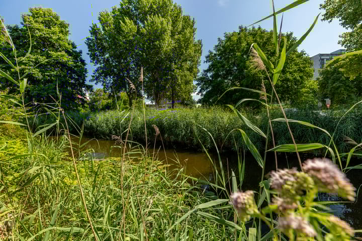 Foto 17 van Zaagmolen 6