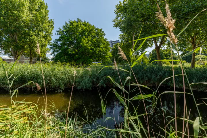 Foto 51 van Zaagmolen 6