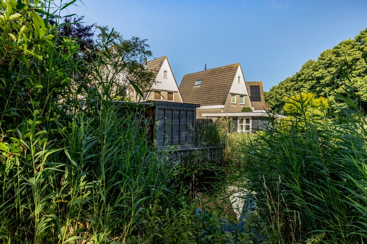 Foto 53 van Zaagmolen 6