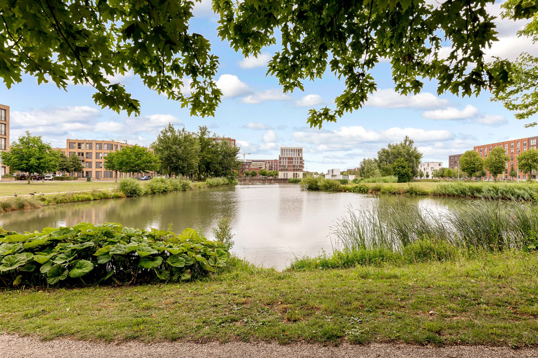 Foto 57 van Monarchvlinderlaan 178