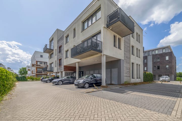 Foto 5 van Olivier van Noorthof 7