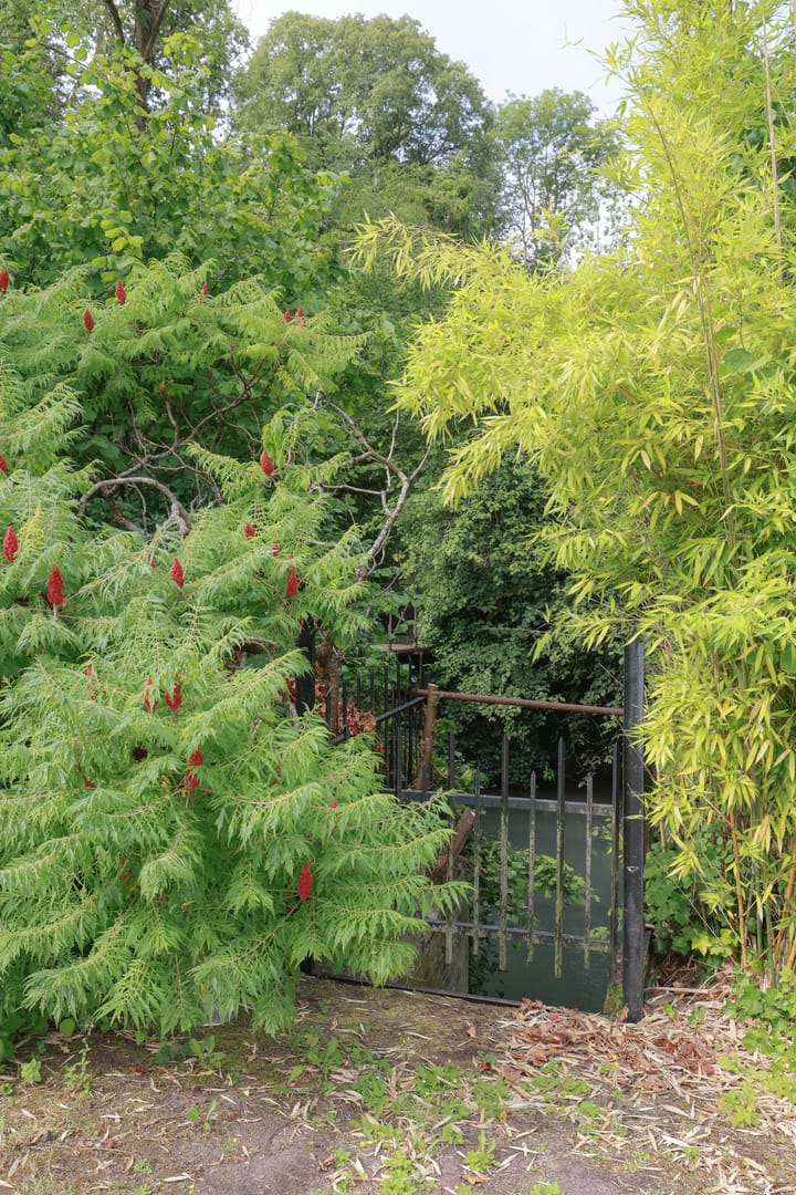 Foto 100 van 33 Rue Roger Salengro