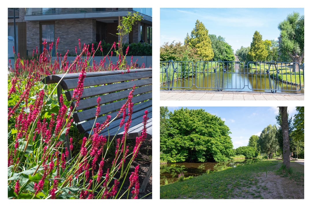 Foto 46 van Anthony Roodvoetsstraat 3