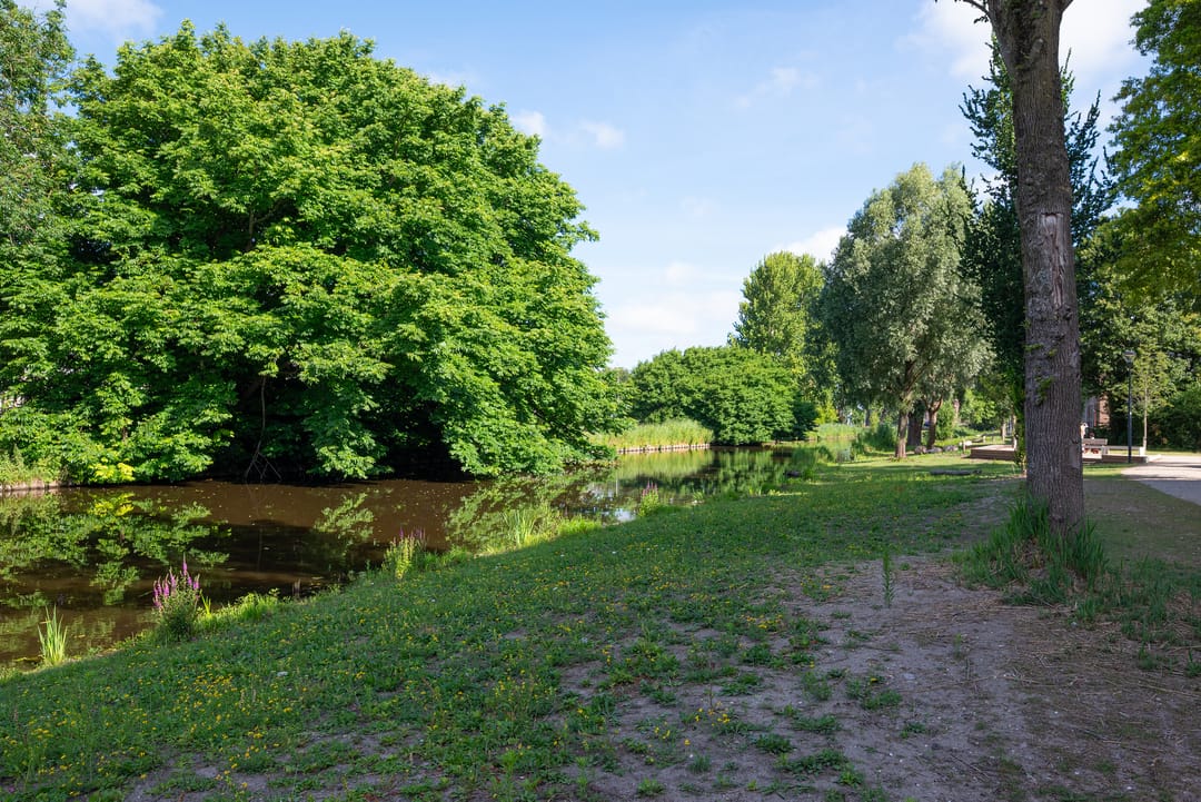 Foto 47 van Anthony Roodvoetsstraat 3