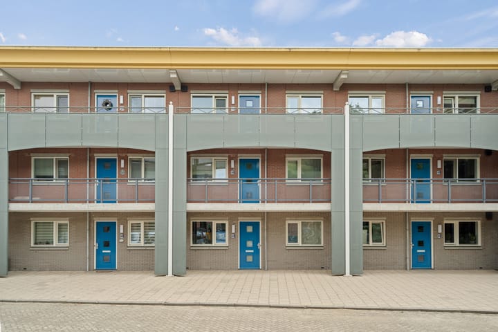 undefined main image