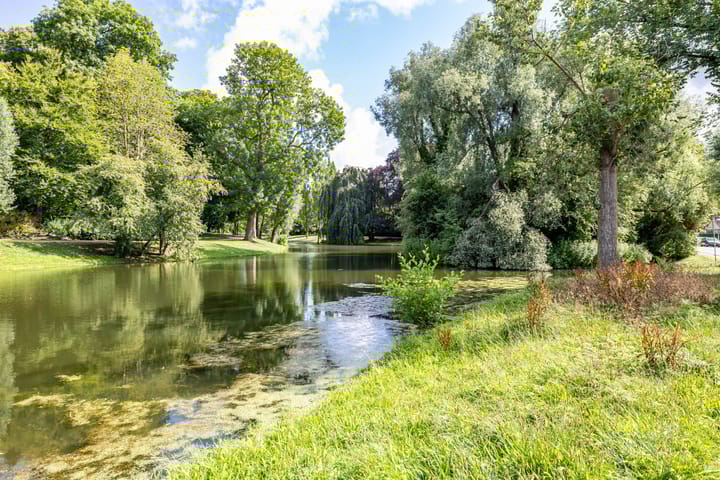 Foto 50 van Plantsoenstraat 7