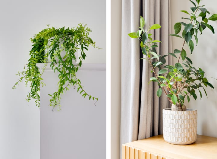 Photo 5 of Boerhaavestraat 70