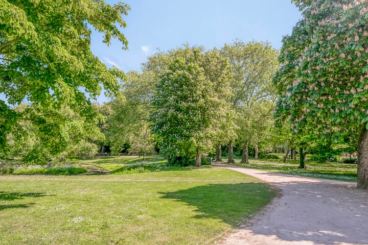 Photo 19 of Moesstraat 4