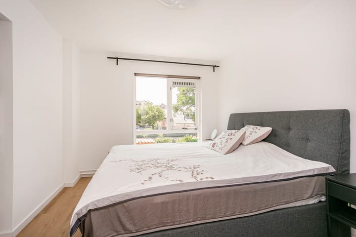 Foto 14 van Zebraspoor 165