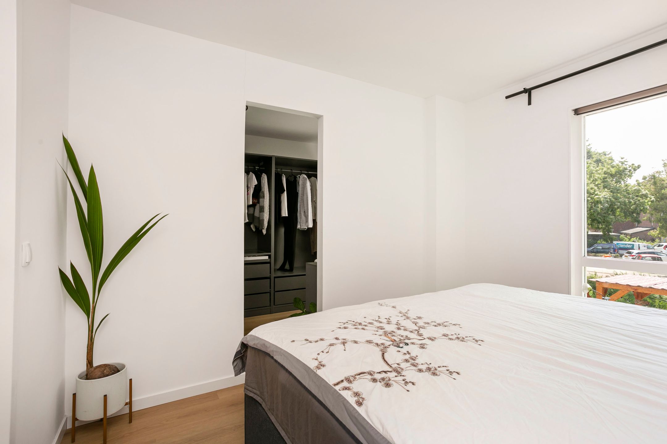 Foto 15 van Zebraspoor 165