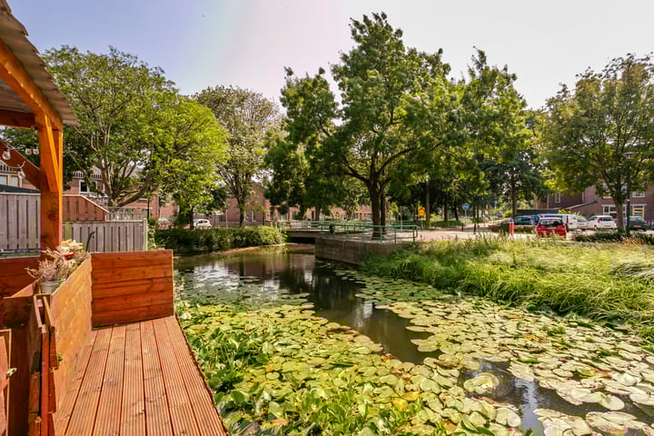 Foto 32 van Zebraspoor 165