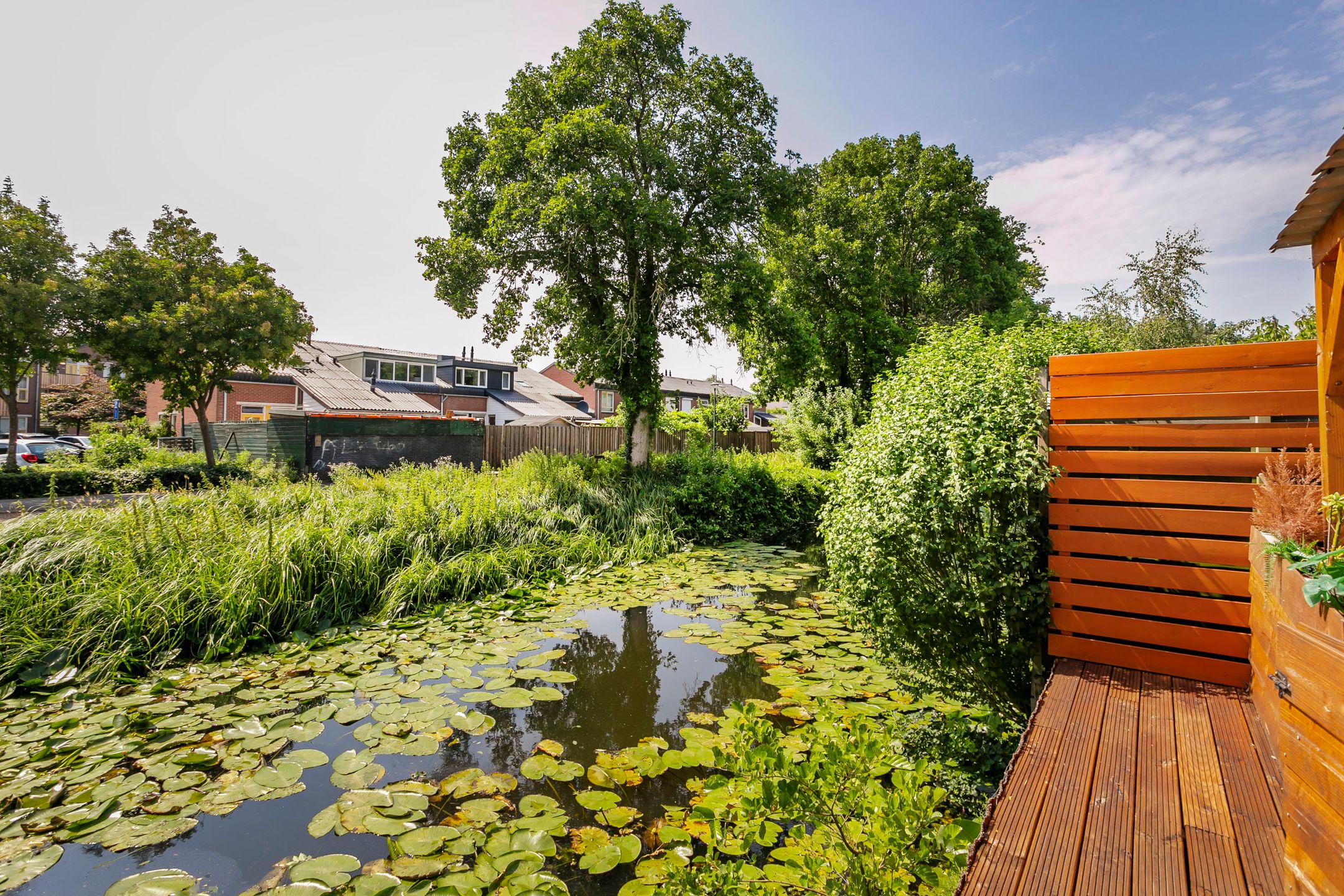 Foto 33 van Zebraspoor 165