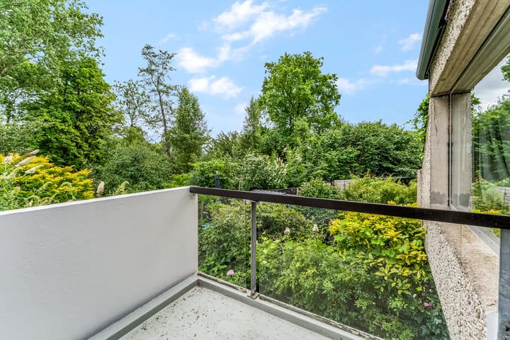 Foto 7 van Dalmatië 78