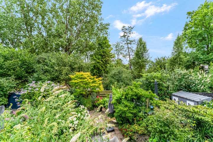 Foto 8 van Dalmatië 78