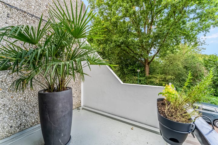 Foto 16 van Dalmatië 78